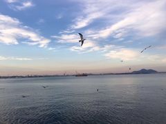 -盘锦红海温泉乐园