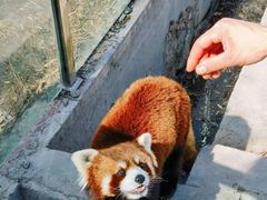 -水上乐园·欢乐世界