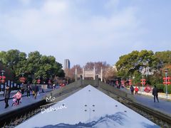 -运河游船(武林门码头)