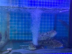 -阿军排档·烧烤