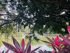 -人民公园(罗湖区)