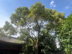 -李白纪念馆