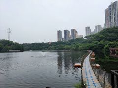 -重庆彩云湖湿地公园