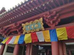 -新加坡佛牙寺龙华院