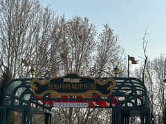 -朝阳公园游乐园