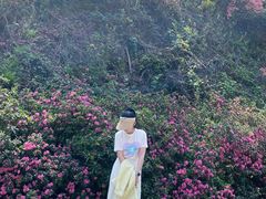-木兰云雾山