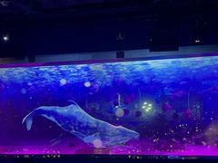 -顺德南宏海立方海洋公园