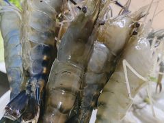 -渔米粥(罗湖店)