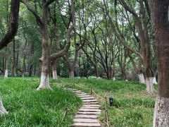 -南京珍珠泉风景区