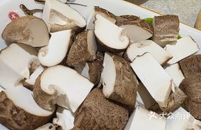 Fresh Hairy Mushroom