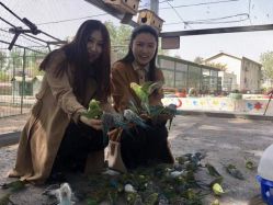 -上美四季动物农场