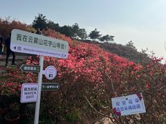 -木兰云雾山