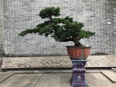 -梁园