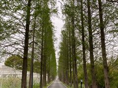 -广富林郊野公园
