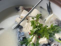 -宝荣鱼馆·临湖之宴(千岛湖店)