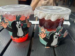-布拉格餐厅· 中欧捷克菜(全国首店)