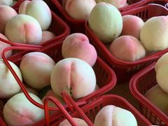 -宾湖农庄·农场特色(太湖龙之梦店)