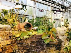 -国家植物园南园