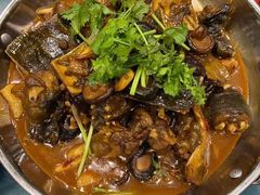 土烧甲鱼锅-听风阁农家私房菜茶楼(龙坞店)