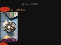 -创凡宠物医院·骨专科  猫科中心(西乡分院)