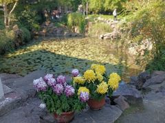 -上海醉白池公园