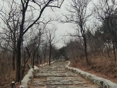 -阳台山自然风景区