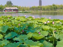 -西海子公园