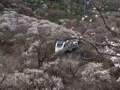 -居庸关长城