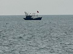 -天津妈祖文化园