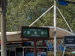 -回坊马二饺子馆