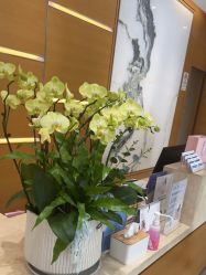 -杭州贝瑞斯美华妇儿医院·早孕·产检·儿科