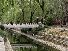 -菖蒲河公园