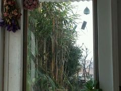 -海边的猫和咖啡馆