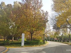 -北京国家会计学院