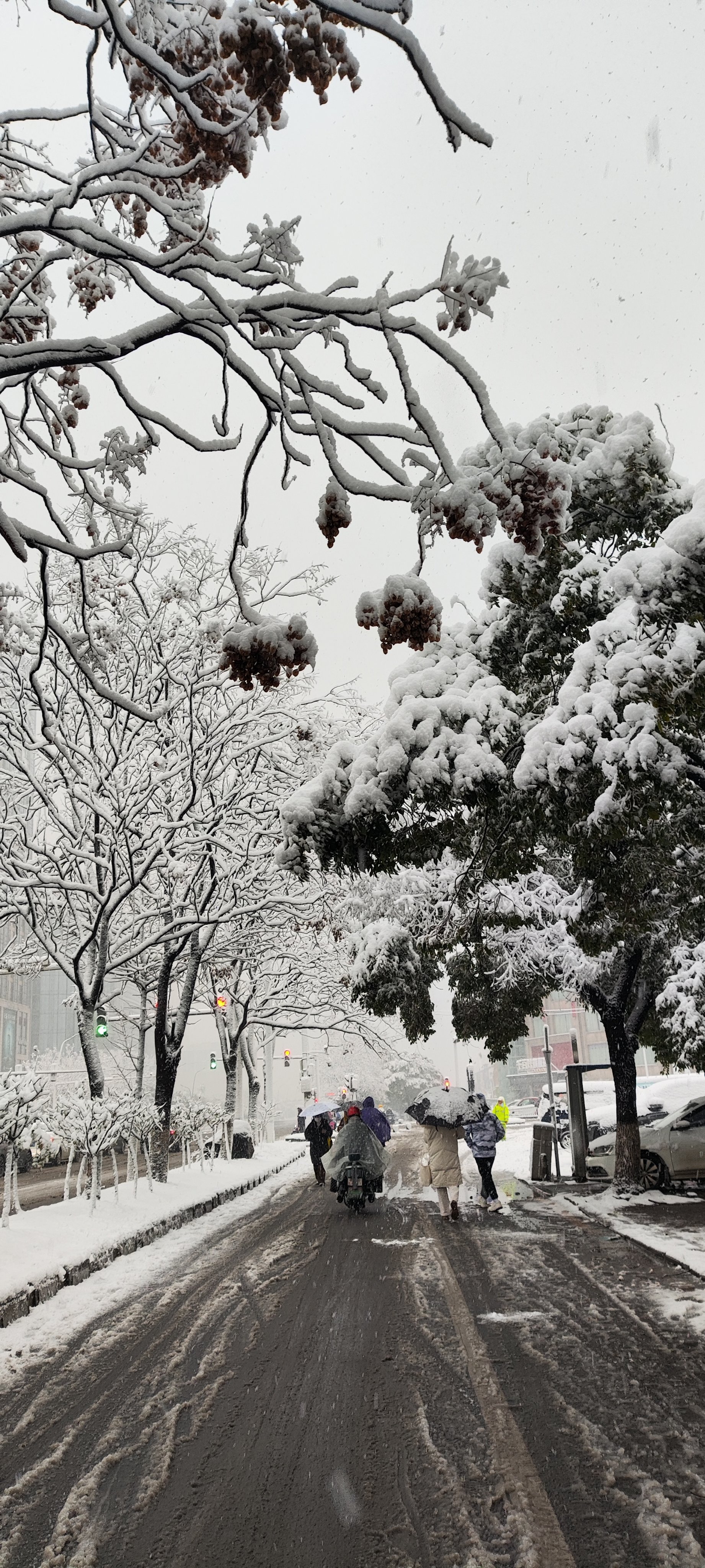 南昌雪景图片