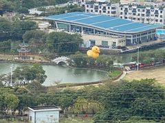 -紫马岭公园