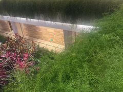 -广州白天鹅宾馆