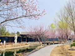 -三里河公园