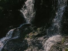 -大鄣山卧龙谷景区