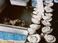 -大湾区中央湿地公园-十九涌