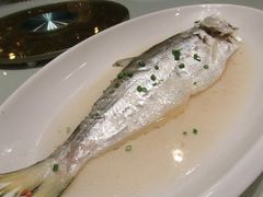 清蒸什么鱼-石浦大酒店(百丈店)