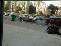 -圣宠动物医院·犬猫专科·影像中心·外科中心