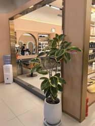 -LEE TIME·丽美时沙龙