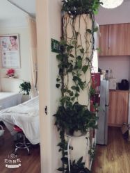 点击看大图 -荟草堂专业祛痘连锁机构