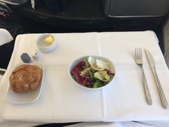 -新加坡航空公司(ION)
