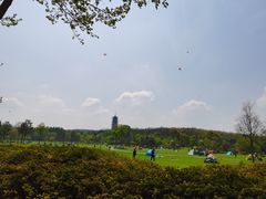 -宜兴龙背山森林公园