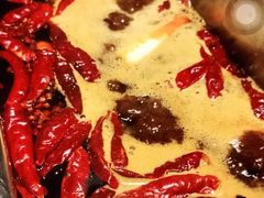 -渡娘火锅(大兴大悦春风里店)