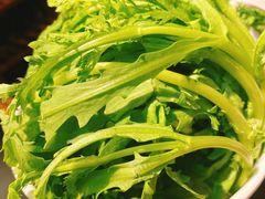 -南门四季铜锅涮肉(左家庄店)