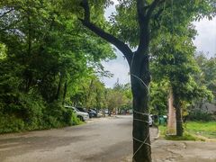 -好地方花椒鸡