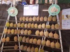 -都念榴莲·城市榴莲